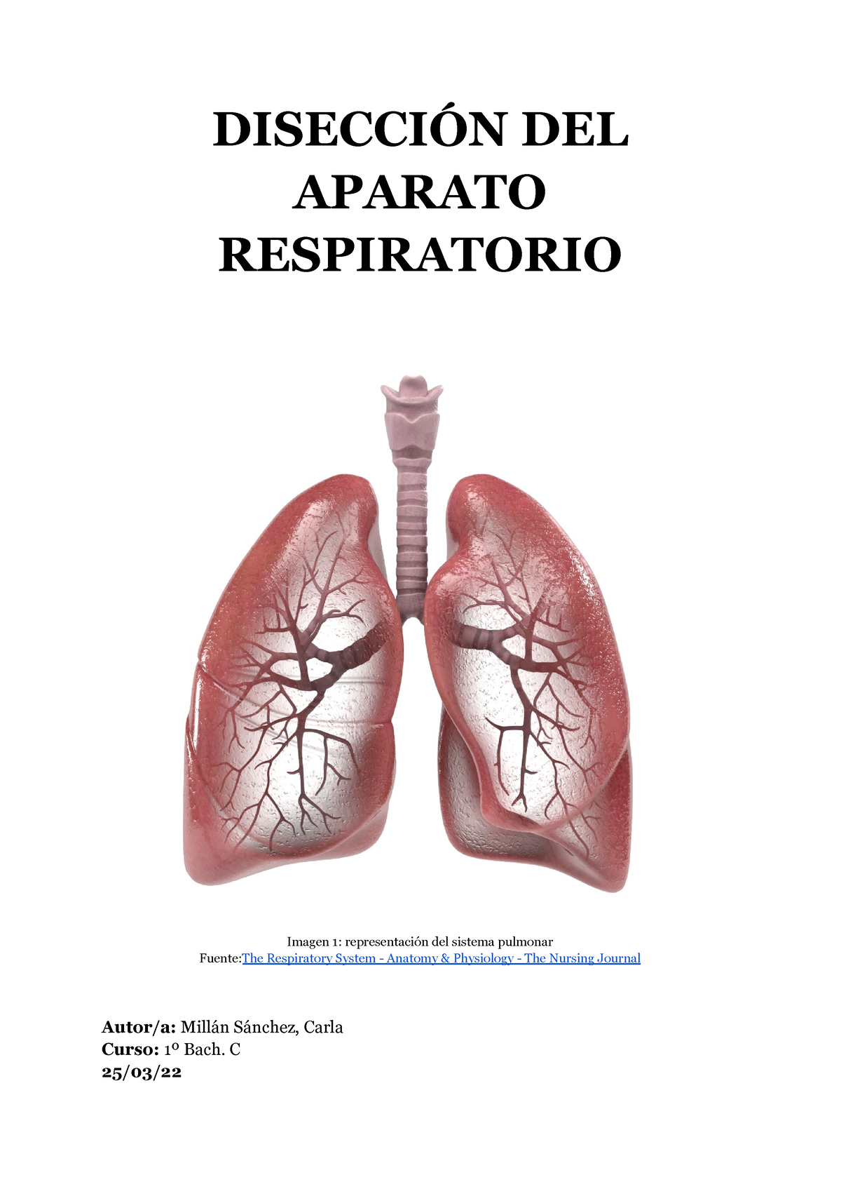 Practica Diseccion DEL Aparato Respiratorio - DISECCIÓN DEL APARATO ...