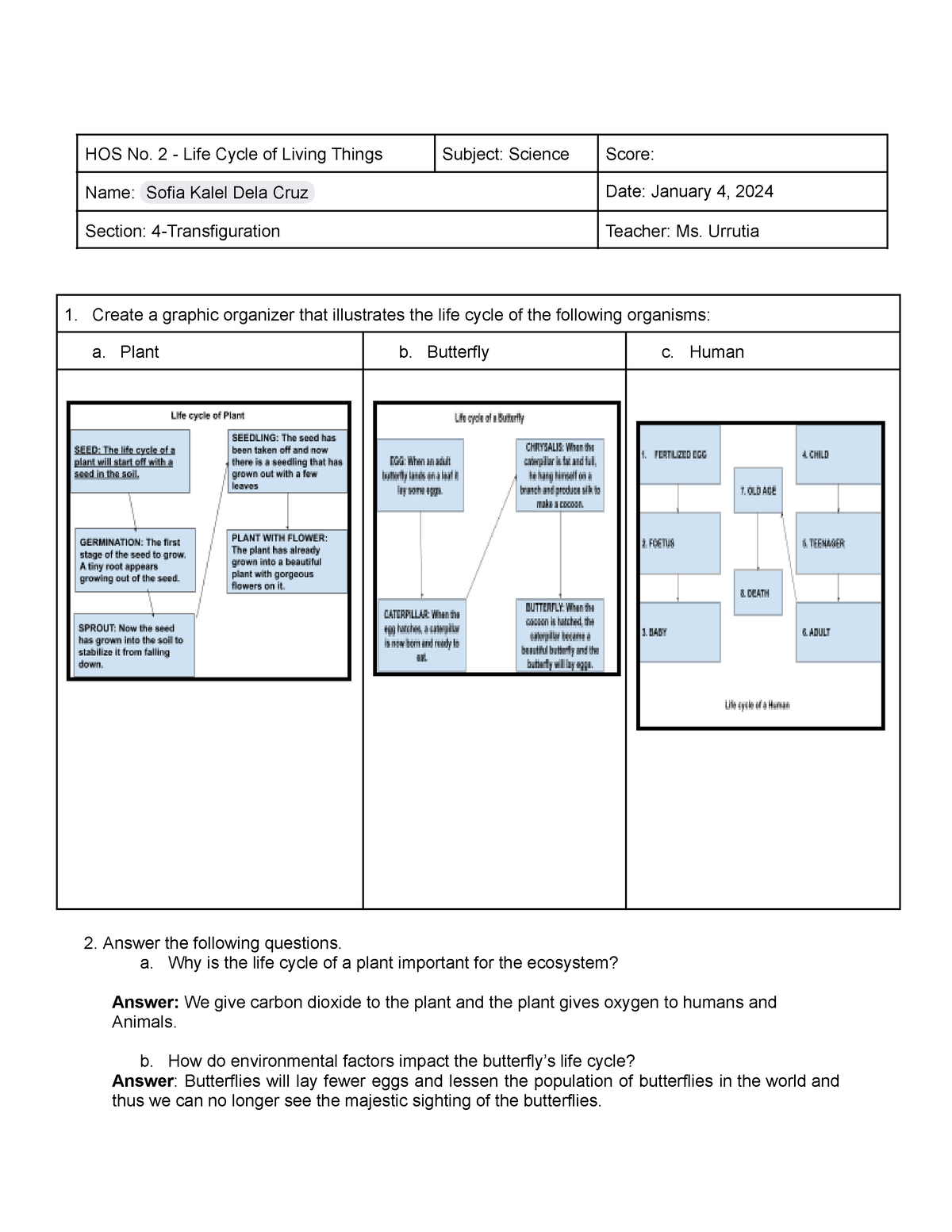 HOS No. 2 - Life Cycles of Living Things - HOS No. 2 - Life Cycle of ...