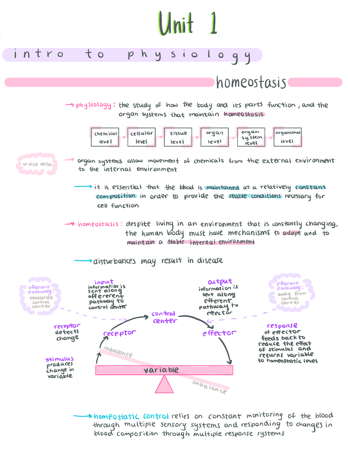 BIOM2000 Unit 1 - Unit 1 Summary - Unni't I i n t r o t o p h y s i o l ...