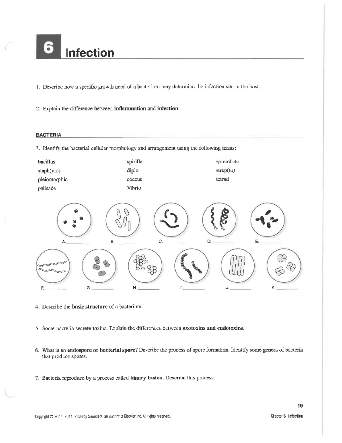 Chapter 6 Study Guide - NURS 3320 - Studocu