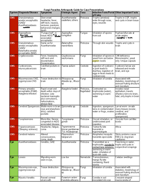 Microbiology Worksheet 1 - Kush Patel, Holland Mittl, Kelly Lynn Lyons ...