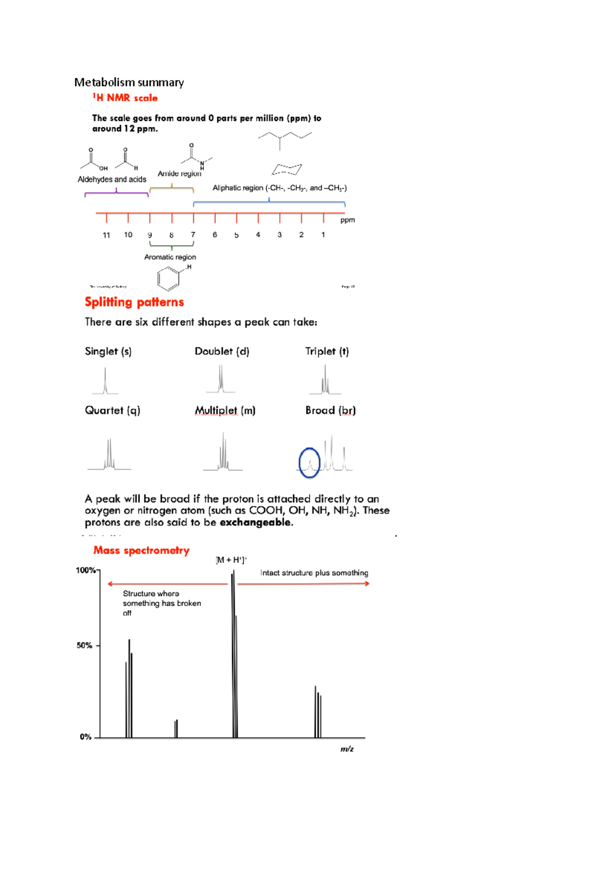 metabolism-summary-phar2821-studocu