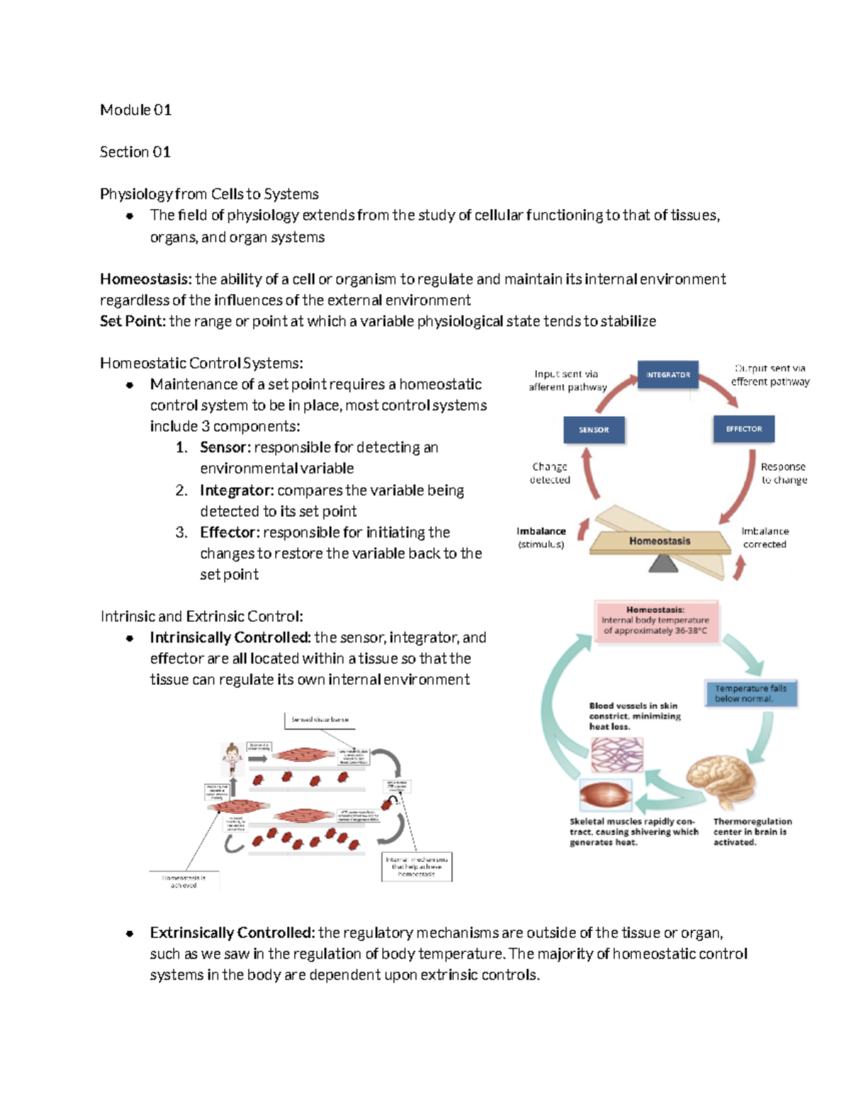 case study development phgy 215