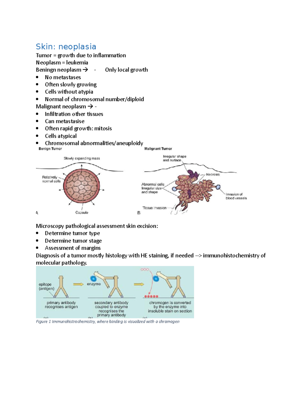 Human pathology - Samenvatting Medische pathologie - Skin: neoplasia ...