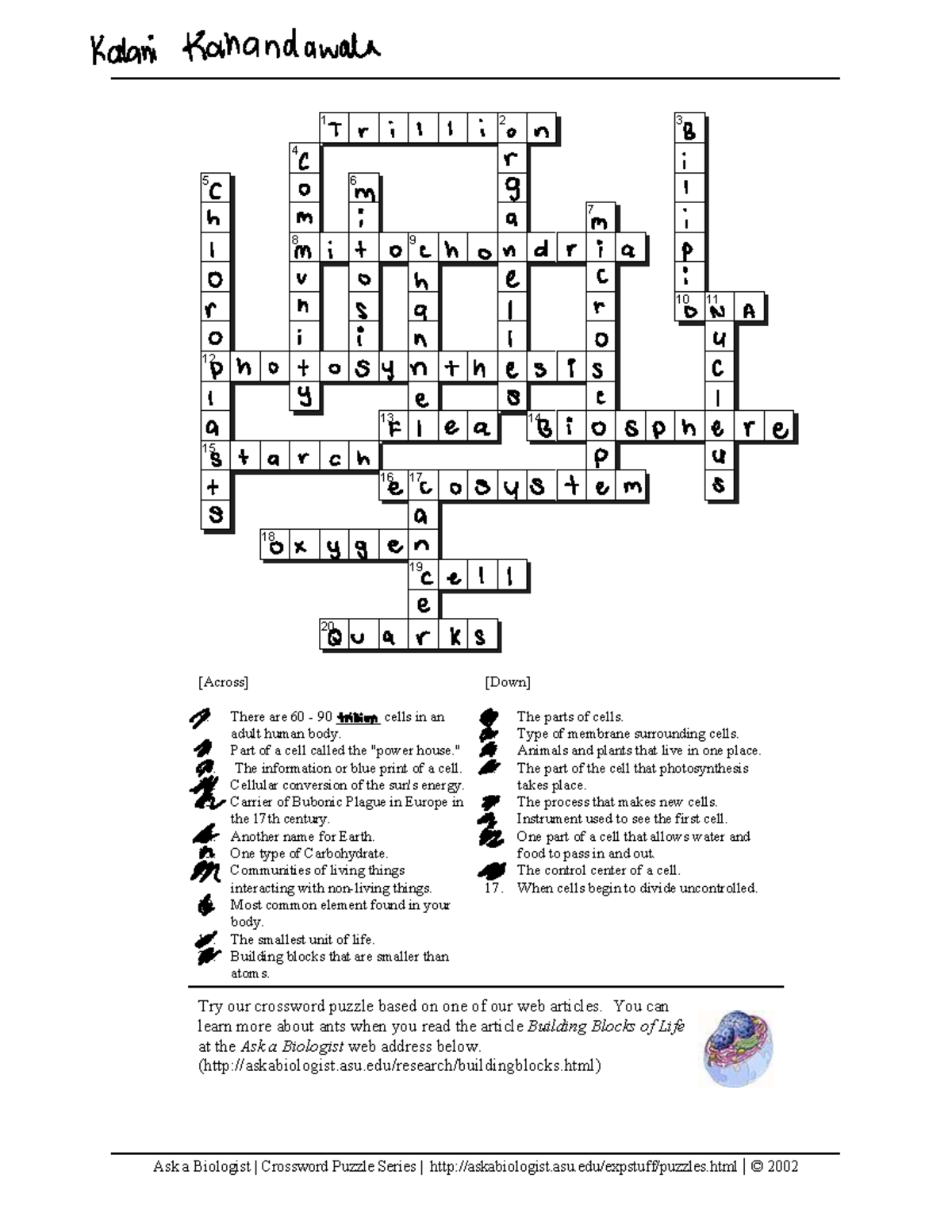 Biologists Eggs Crossword