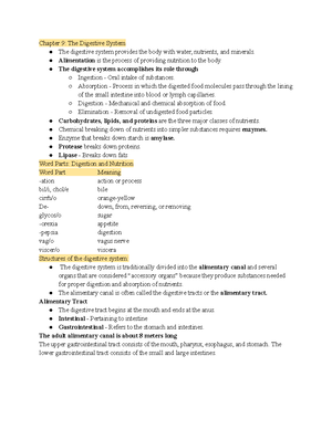 medical terminology chapter 4 homework