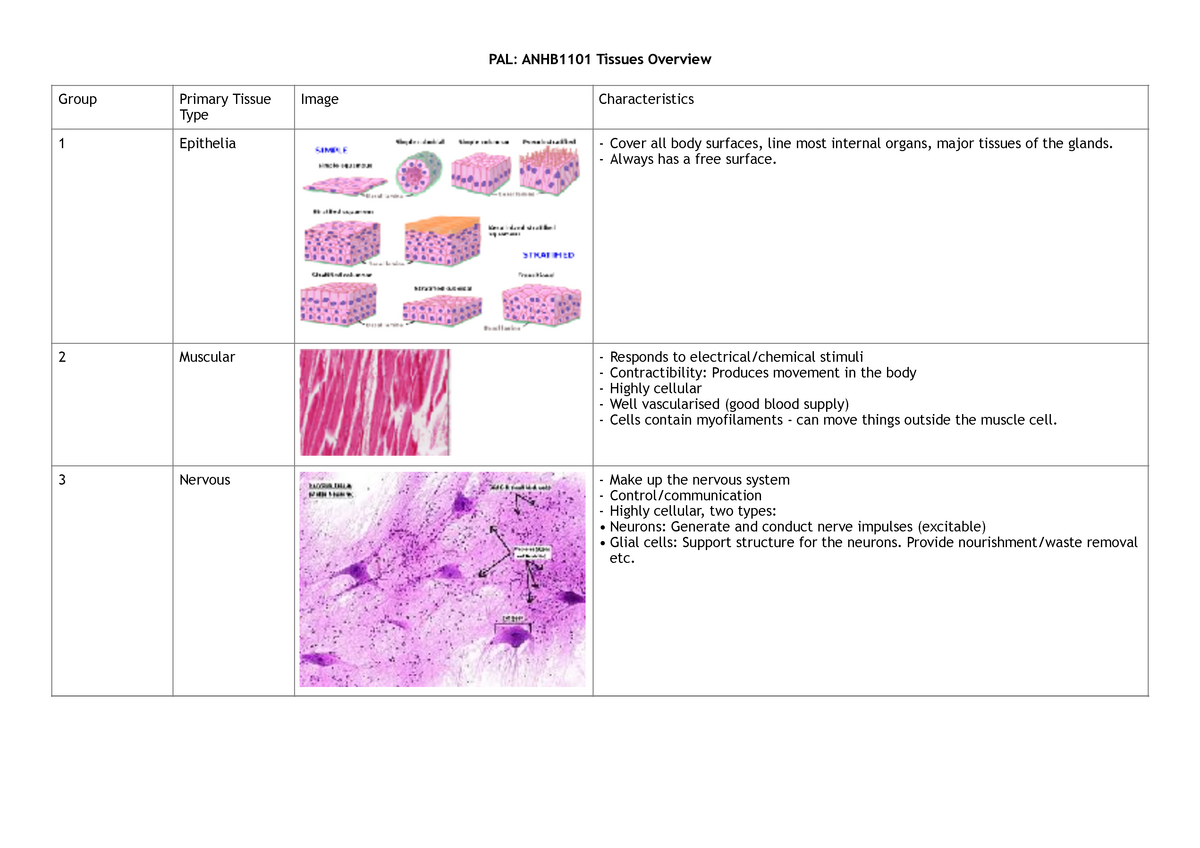 Tissue Type Summary - PAL: ANHB1101 Tissues Overview Group Primary ...