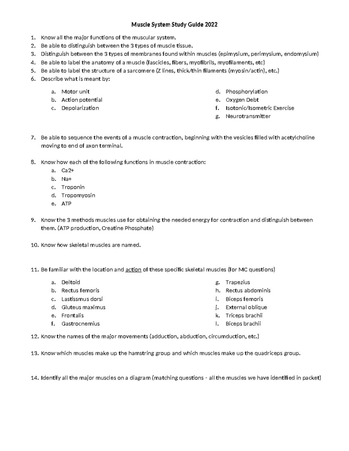 Muscle System Study Guide 2022 - Be able to distinguish between the 3 ...