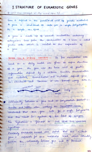 Advanced Microbial Genetics lecture - TRANSPOSITION :— m MW 9% men/arm ...