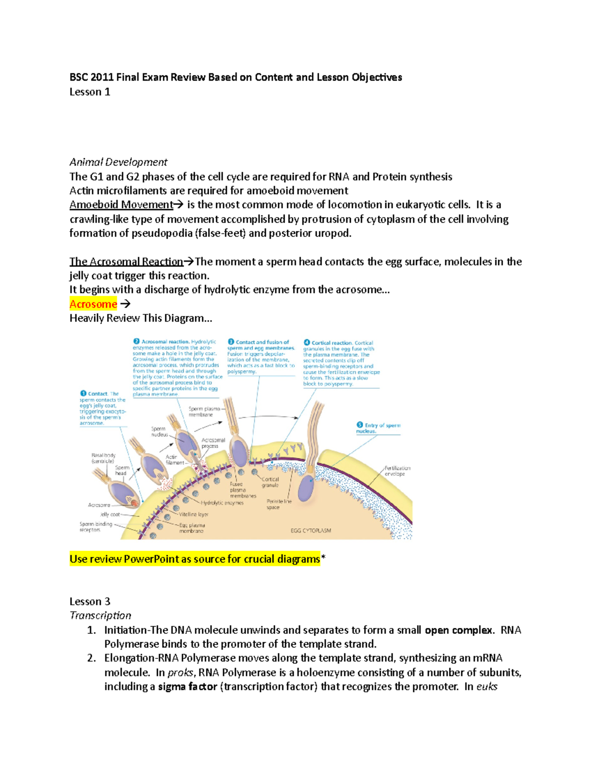 BSC 2011 Final Exam Review Based On Content And Lesson Objectives - It ...