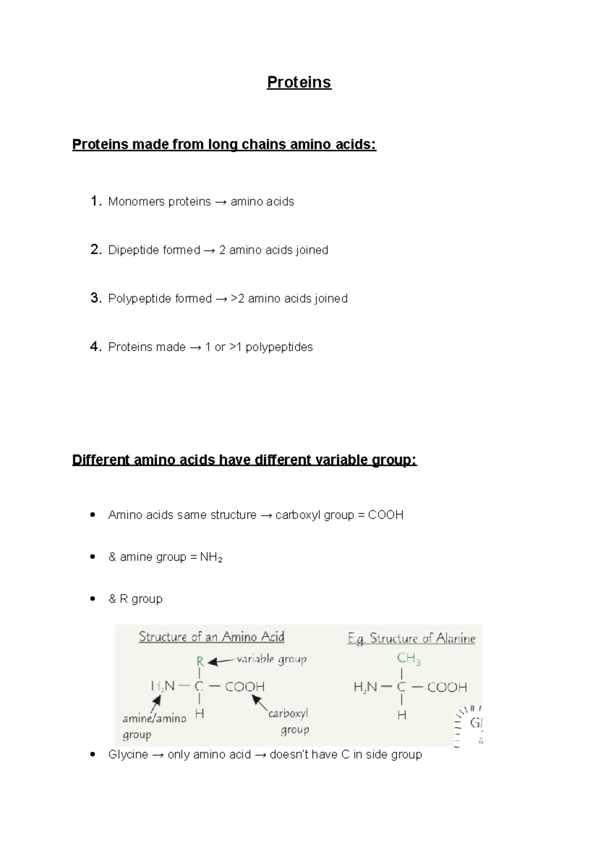 3.0 Proteins - kkkk - Proteins Proteins made from long chains amino ...