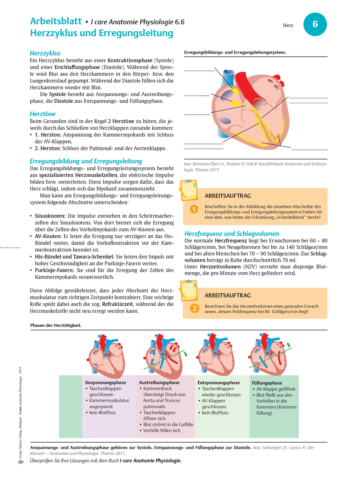 Sgzszszdzdzdzddzdzd Georg Thieme Verlag Stuttgart · I Care Anatomie Physiologie · 2015 