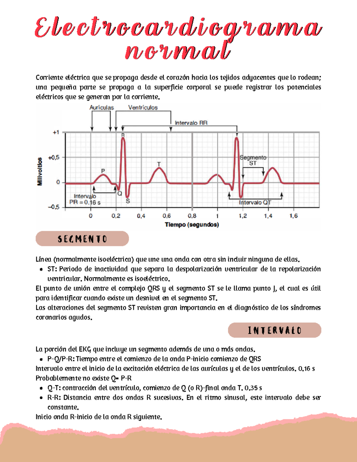Fisiología Sistémica - Resúmenes - s e g m e n t o E l e c t r o c a r ...