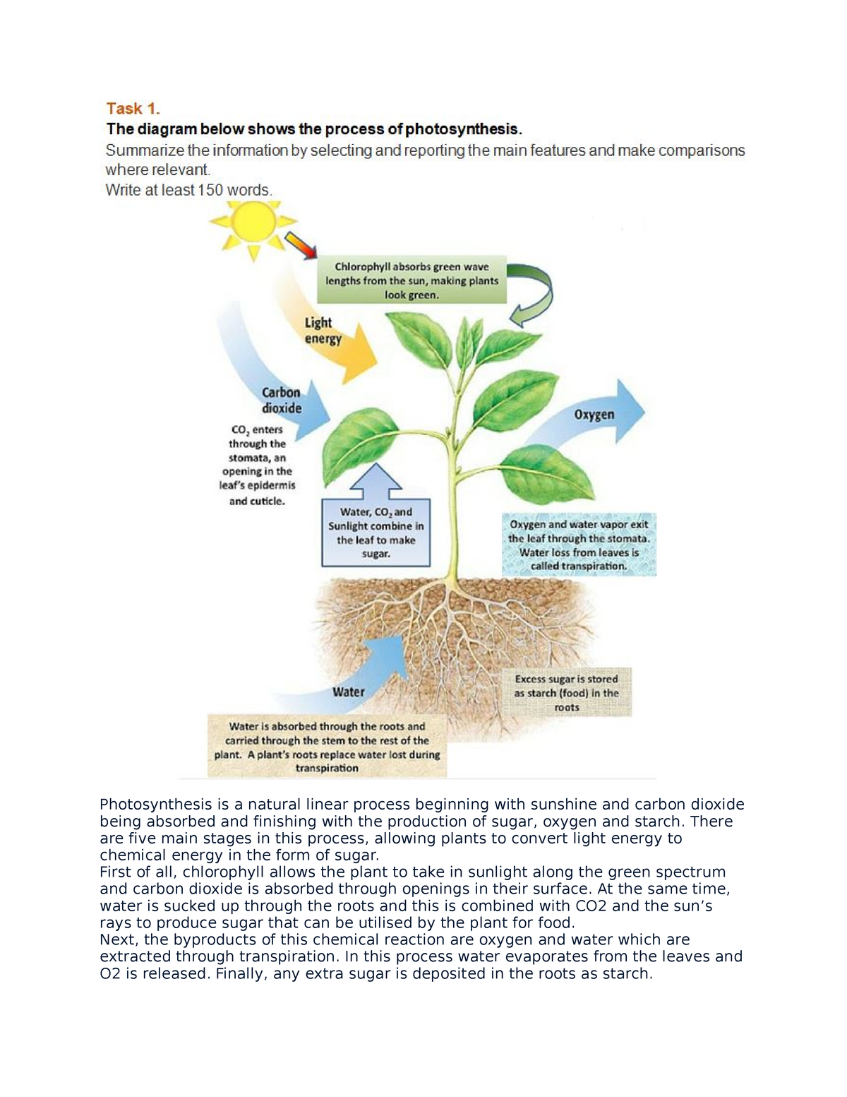 Writting task2 ngọc trang - Photosynthesis is a natural linear process ...