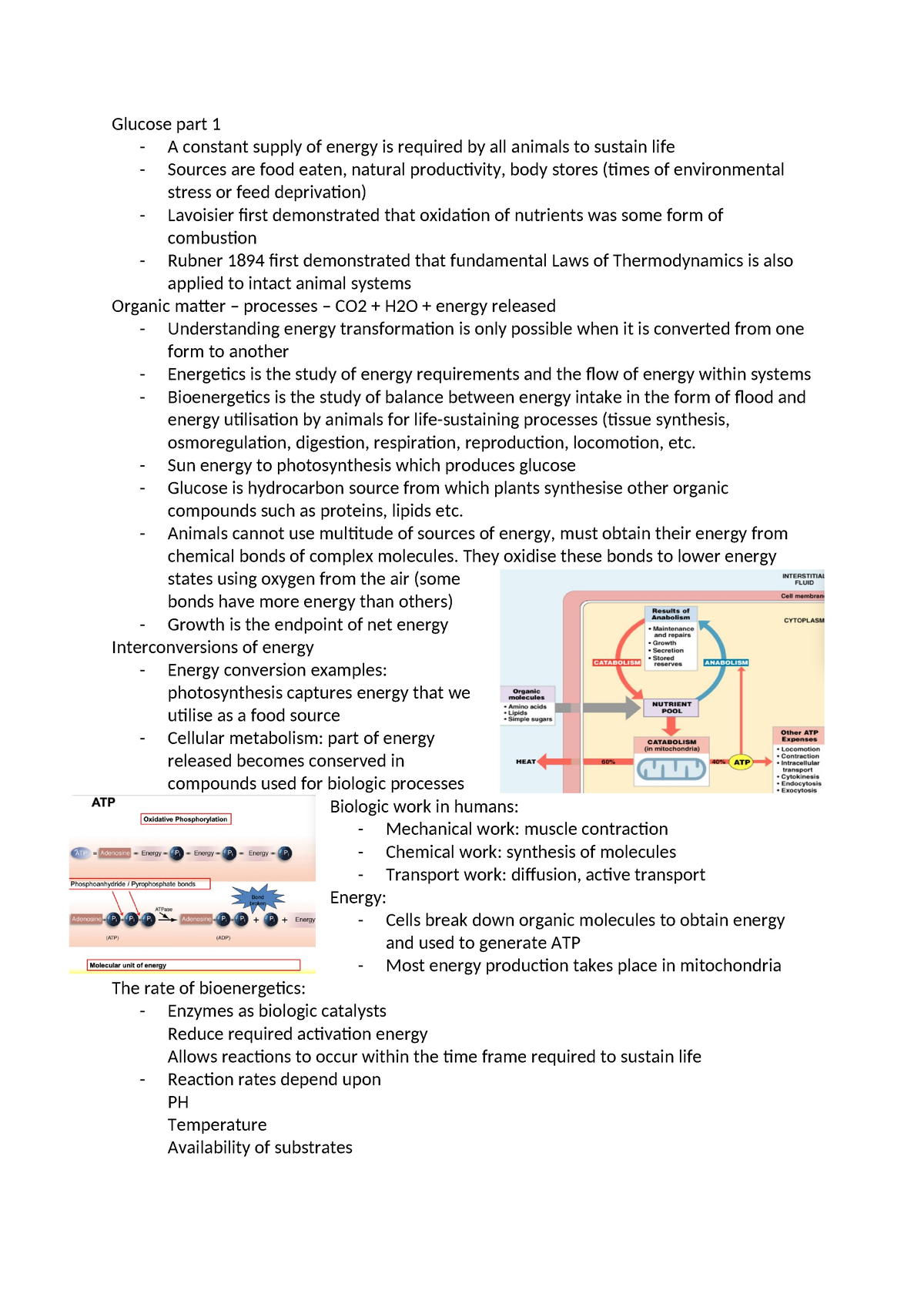 Glucose - Sun energy to photosynthesis which produces glucose - Glucose ...