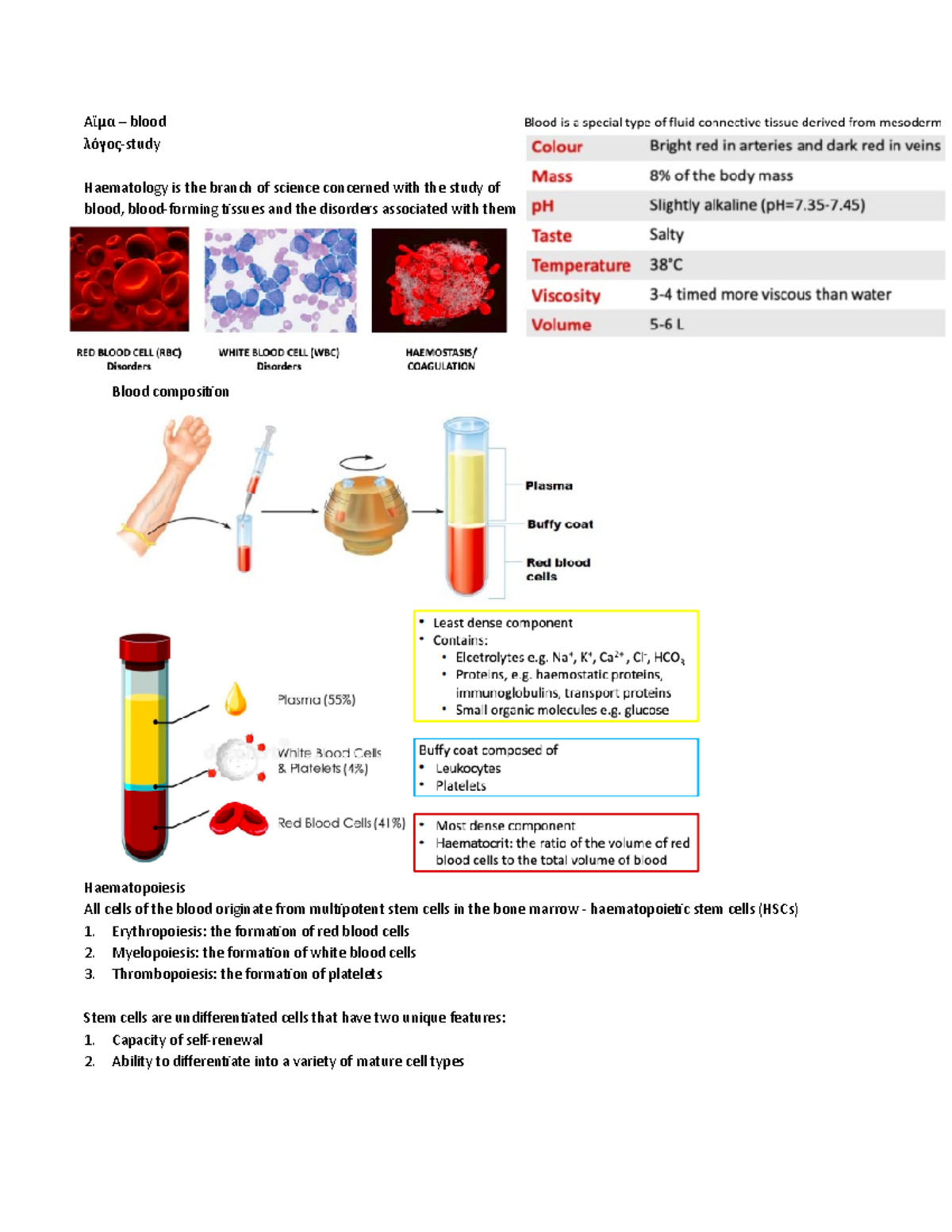 Haematopoiesis and introduction to blood cells - Α μα – blood ἲ λόγος ...