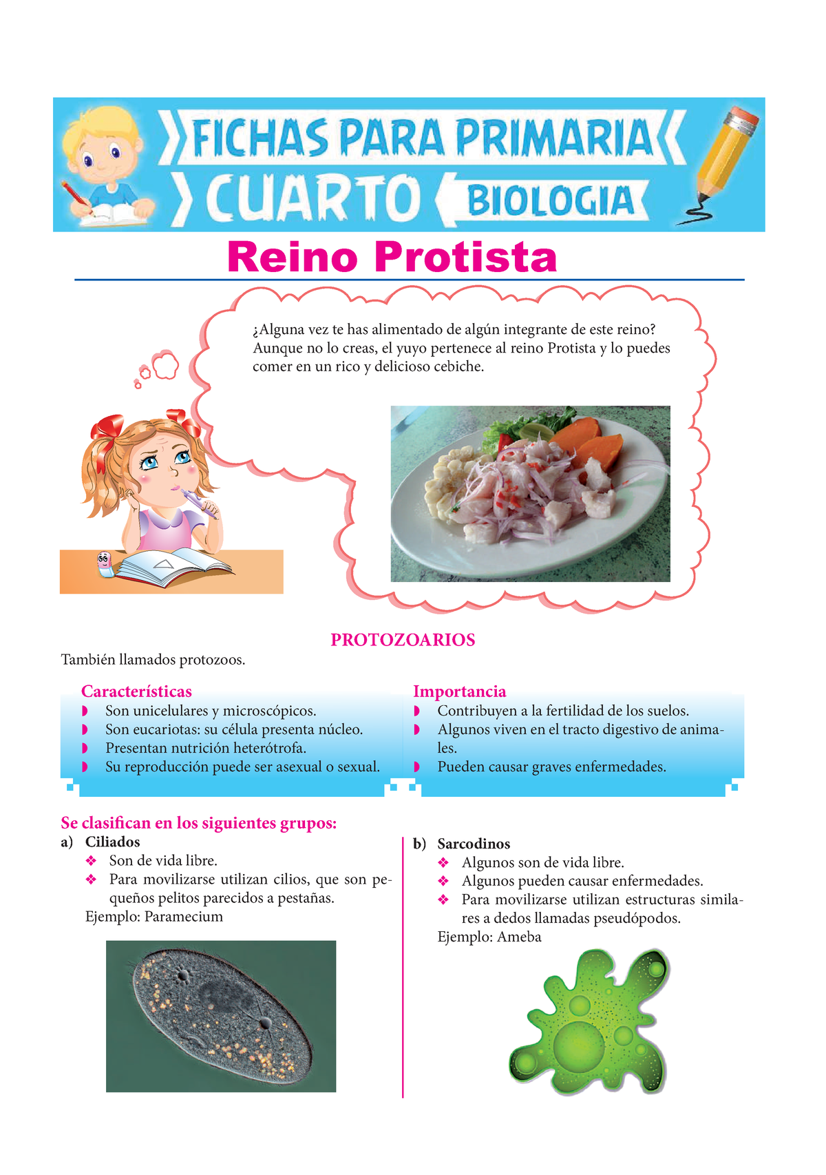 ejemplo de protista de la malaria