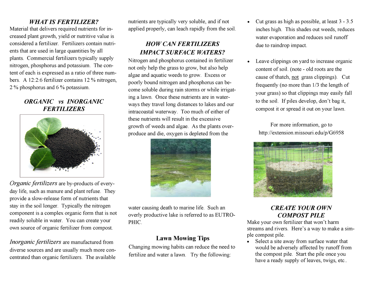 Fertilizer Runoff brochure - WHAT IS FERTILIZER? Material that delivers ...