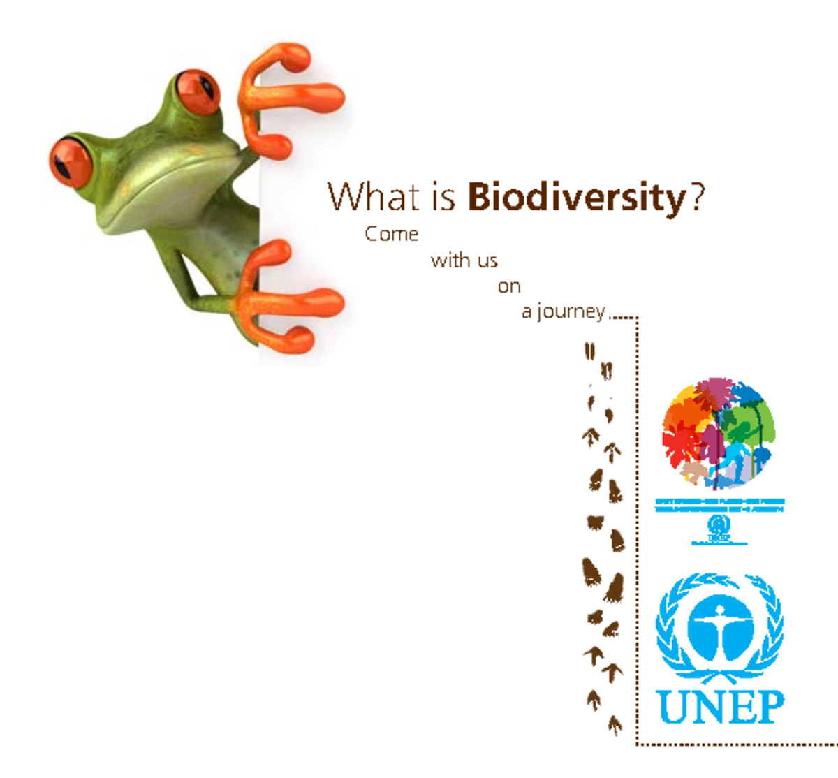 biodiversity-factsheet-what-is-biodiversity-come-with-us-on-a