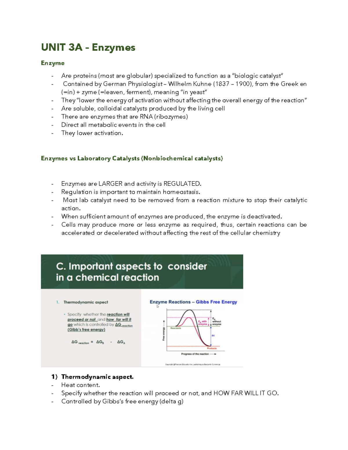 Enzymes - UNIT 3A – Enzymes Enzyme Are proteins (most are globular ...