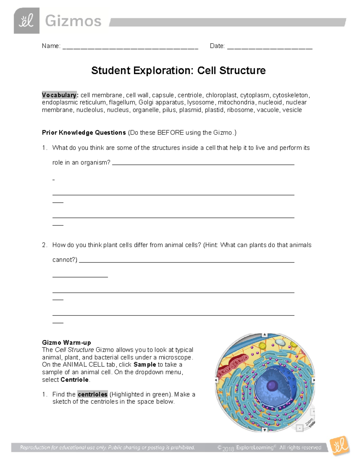 Cell Structure SE - worksheet - Name ...