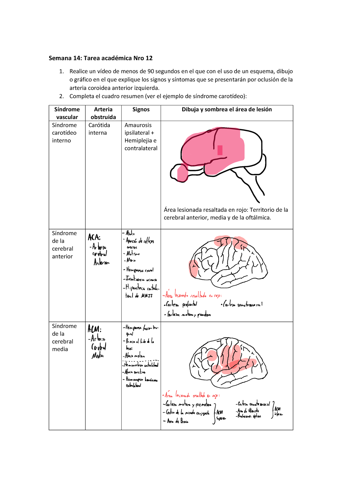 Semana Tarea Semana Tarea Acad Mica Nro Realice Un V Deo De Menos De