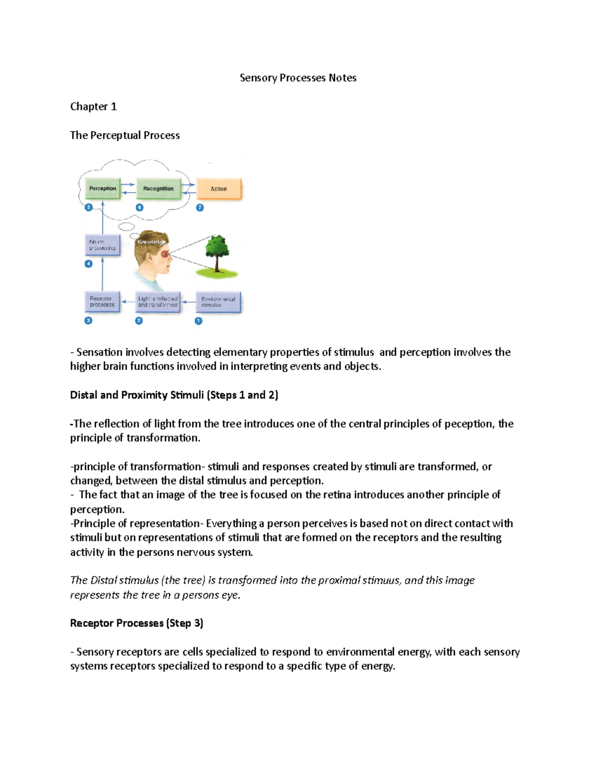 Sensory Processes Notes - Sensory Processes Notes Chapter 1 The ...