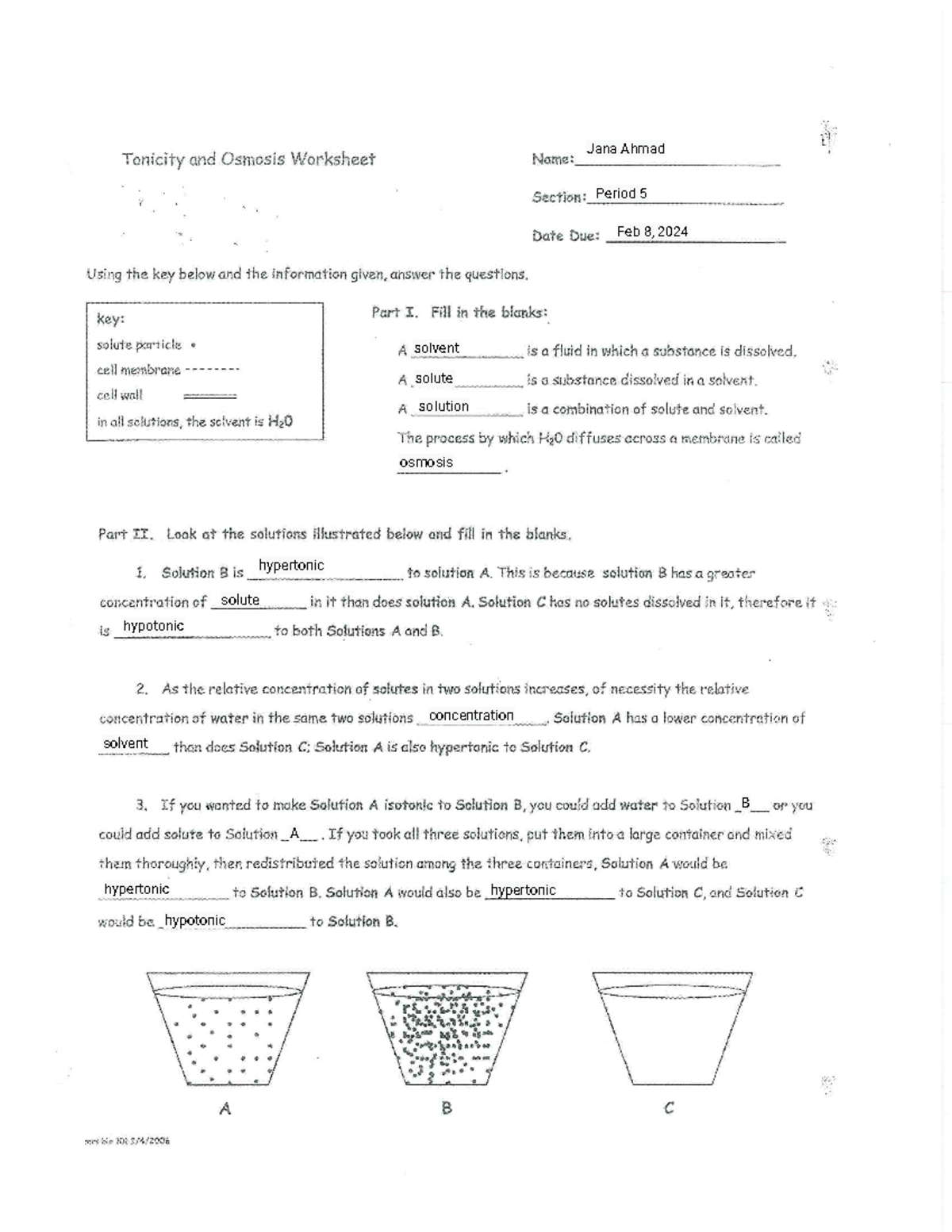 Kami Export - Jana Ahmad - hypo hypertonci - Tonicity and Osmosis ...