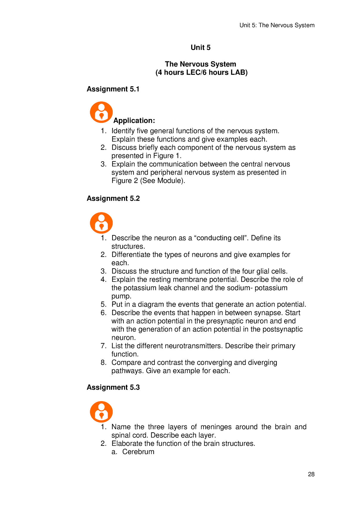 essay questions nervous system