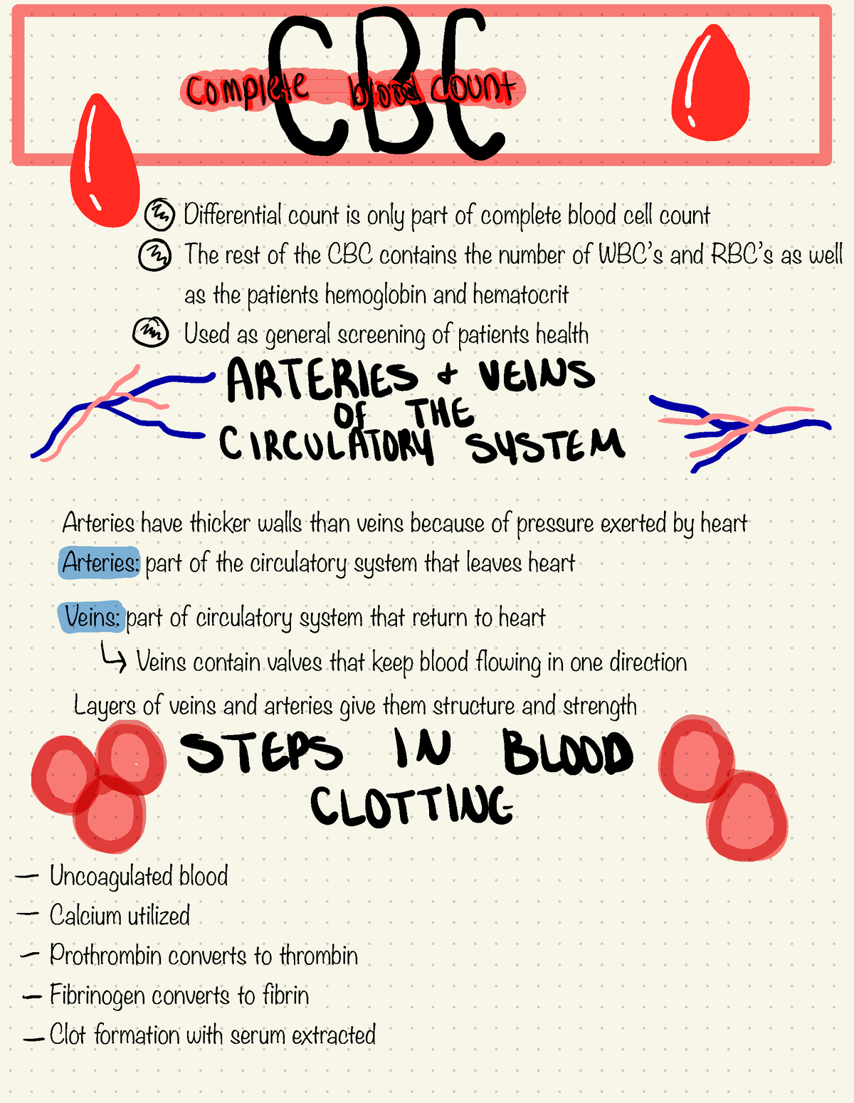 Phlebotomy Class 12 - Differential count is only part of complete blood ...