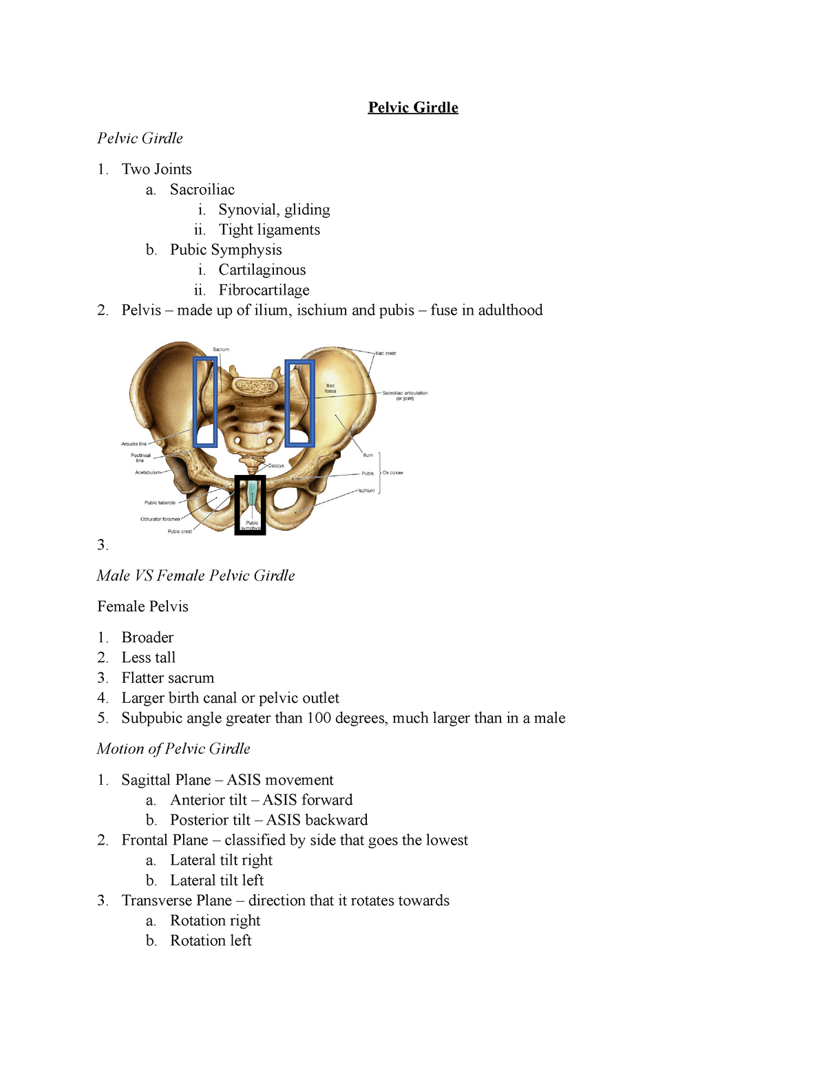 8.3 The Pelvic Girdle and Pelvis - 8: The Pelvic Girdle and Pelvis Define  the pelvic girdle and - Studocu