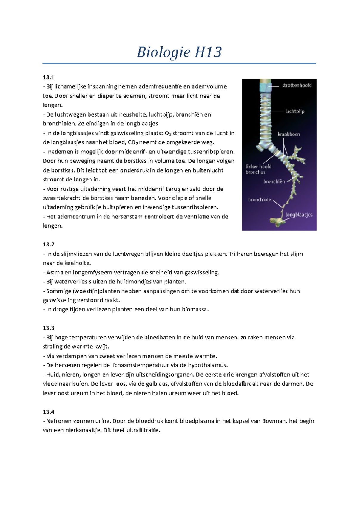 Biologie Hoofdstuk 13 - Biologie H 13. Bij Lichamelijke Inspanning ...