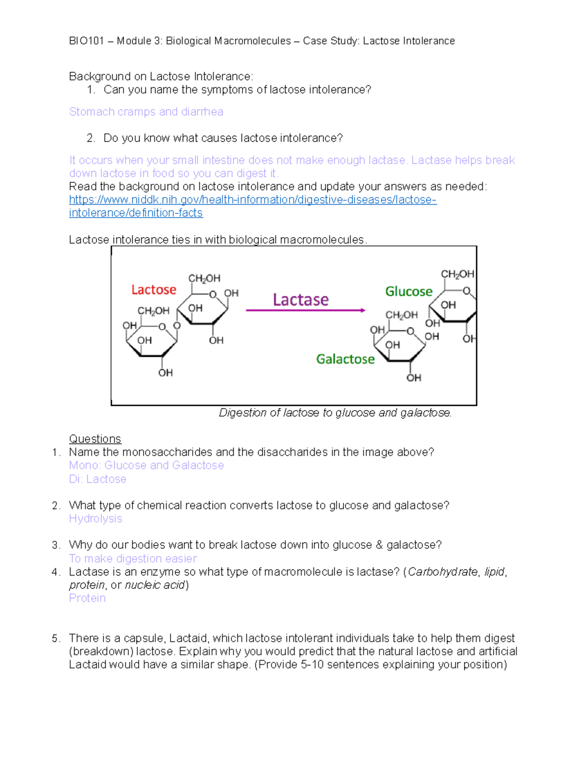 BIO101 Module 3 Biological Macromolecules - Case Study - BIO101 ...