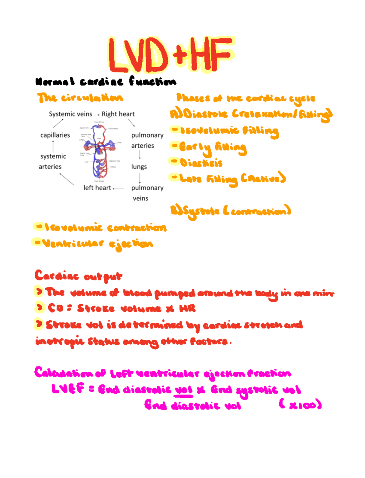 LVD and HF (10) - Pathology - LVDtHF Normal cardiac function The ...