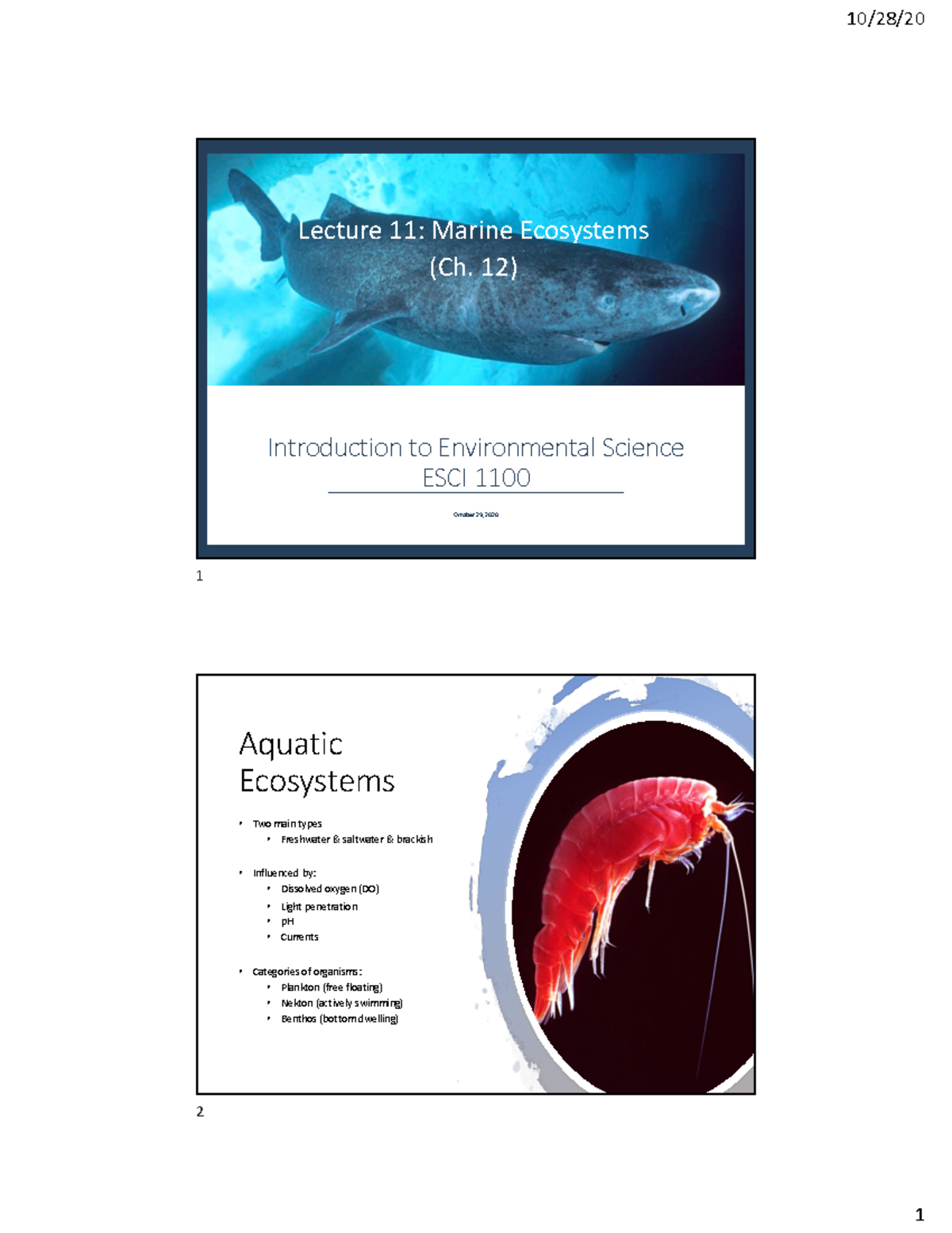 Lec 11 - Lecture Notes 11 - Introduction To Environmental Science ESCI ...