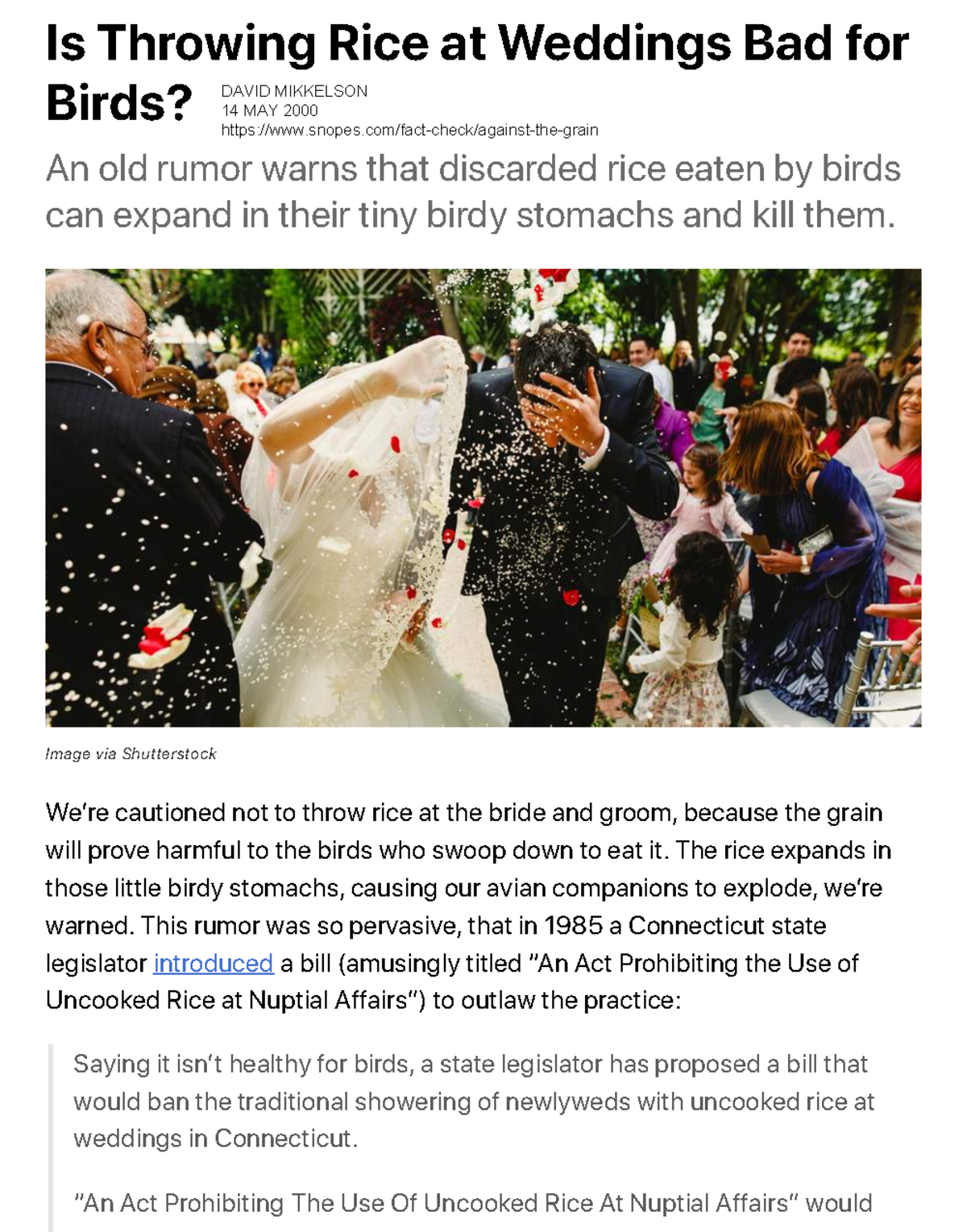 Required Article Mikkelson Snopes 2000 Is Throwing Rice at Weddings