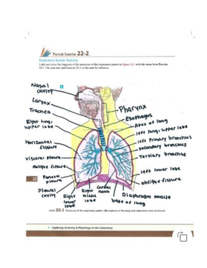 Unit 16 Pre-Lab Exercise 16-3 kj - Endocrine System n UNIT 16 n 423 16 ...