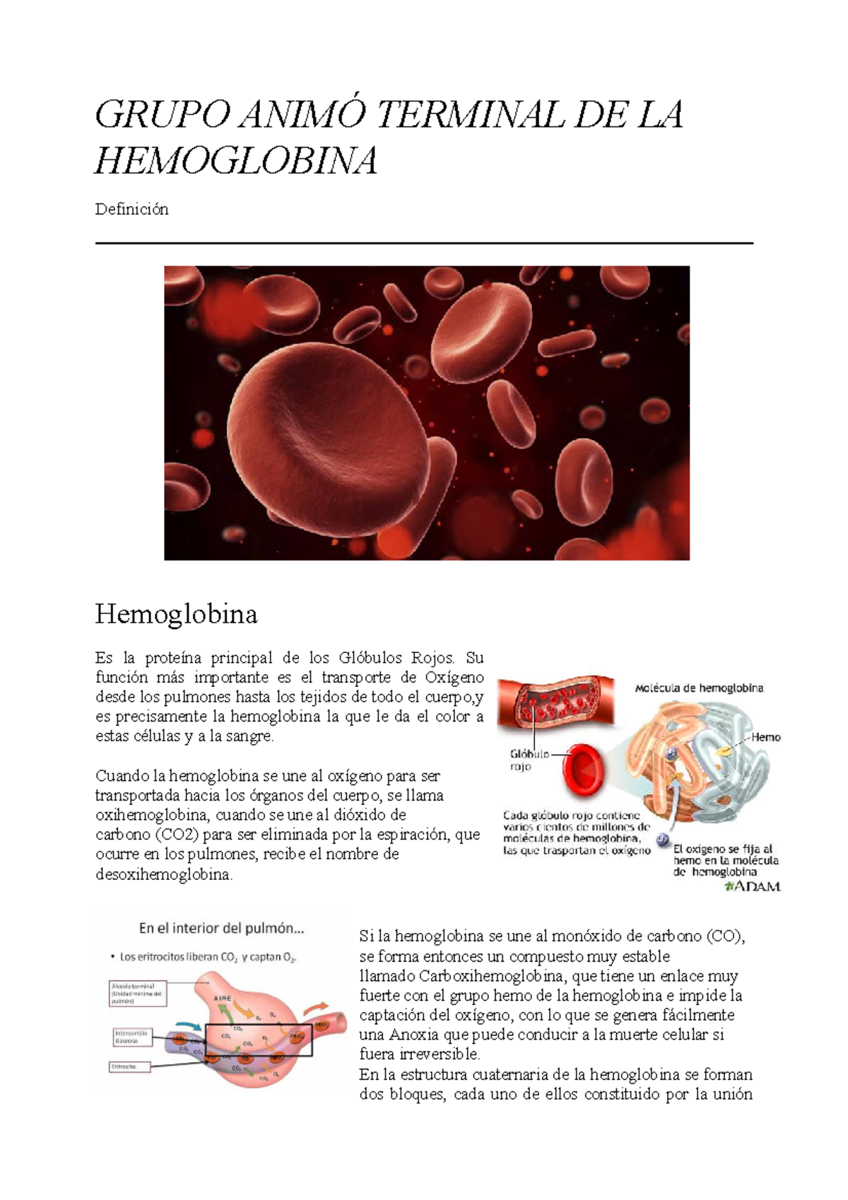 Documento - Hemoglobina - GRUPO ANIMÓ TERMINAL DE LA HEMOGLOBINA ...