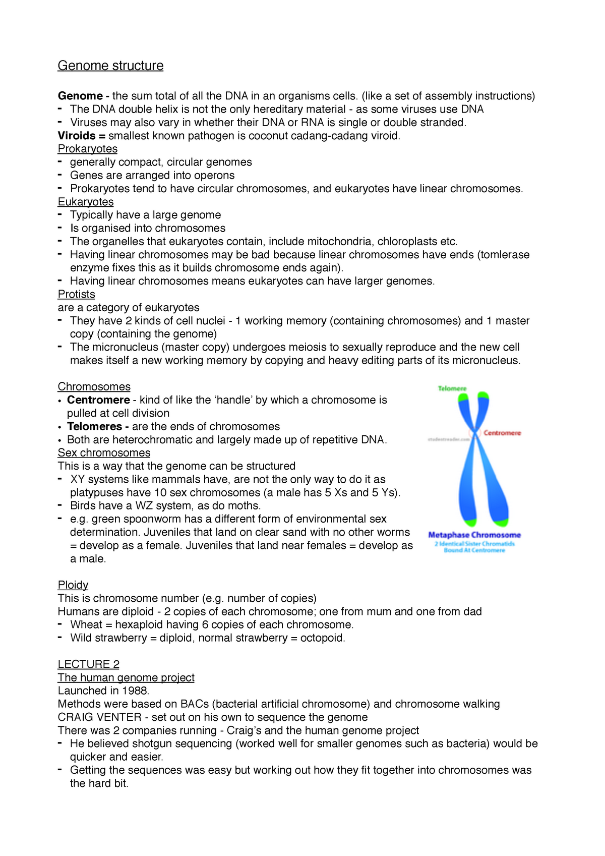 The human genome - Lecture notes 12 - Genome structure Genome - the sum ...