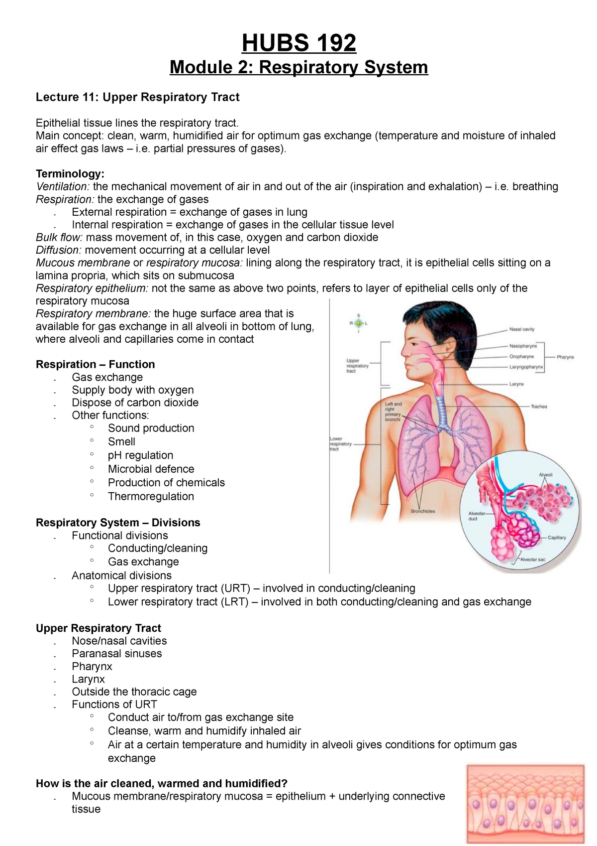 Hubs 192 Lecture Notes Respiratory System Hubs 192 Module 2 Respiratory System Lecture 11