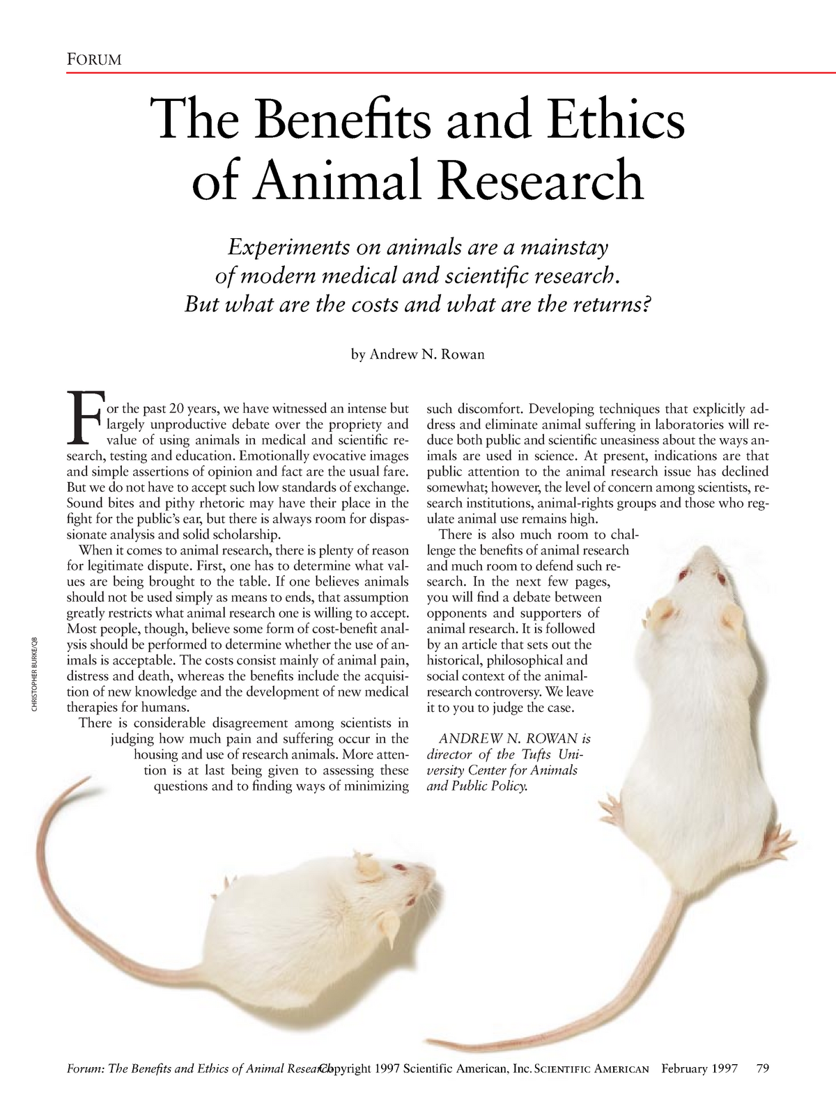 animal test research paper