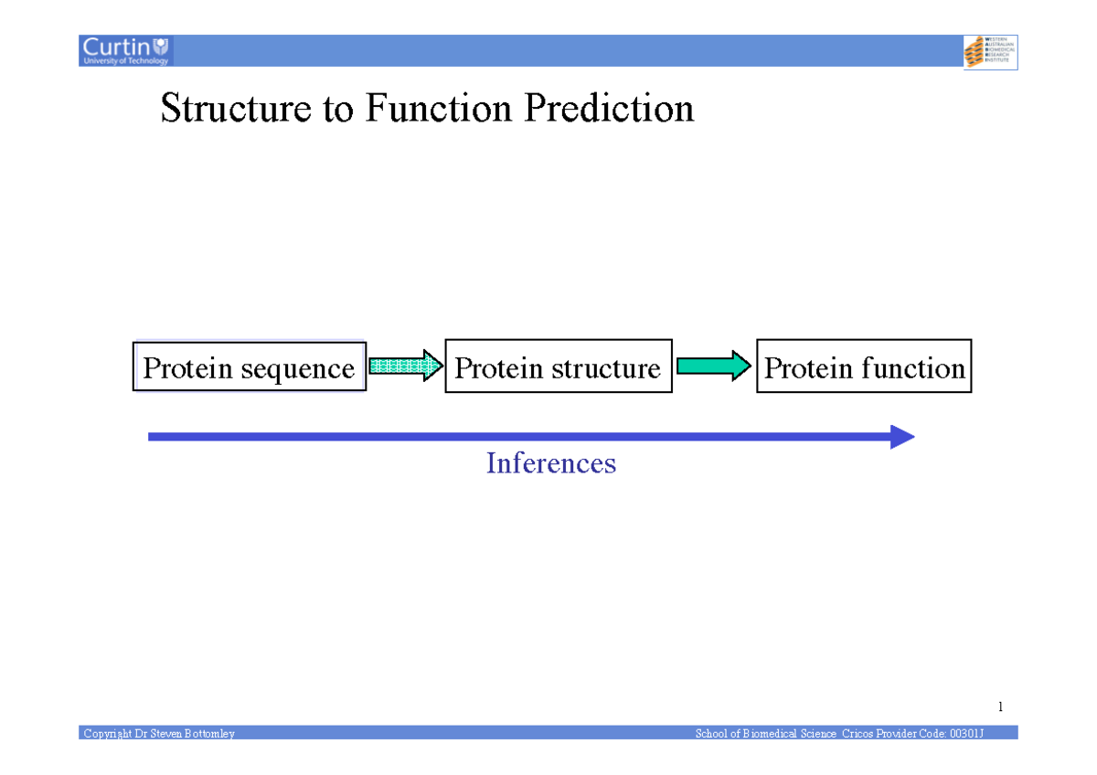 Structure Function(1) - Structure to Function Prediction 1 Protein ...