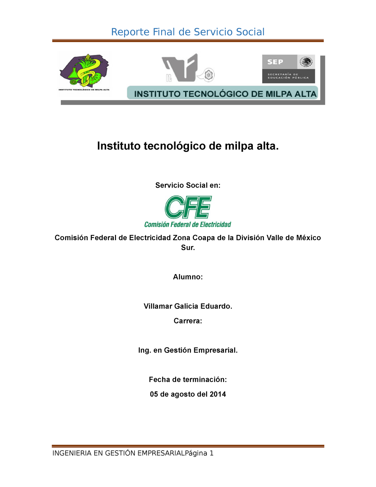 Ejemplo De Reporte Final De Servicio Social Instituto Tecnol Gico De Milpa Alta Servicio