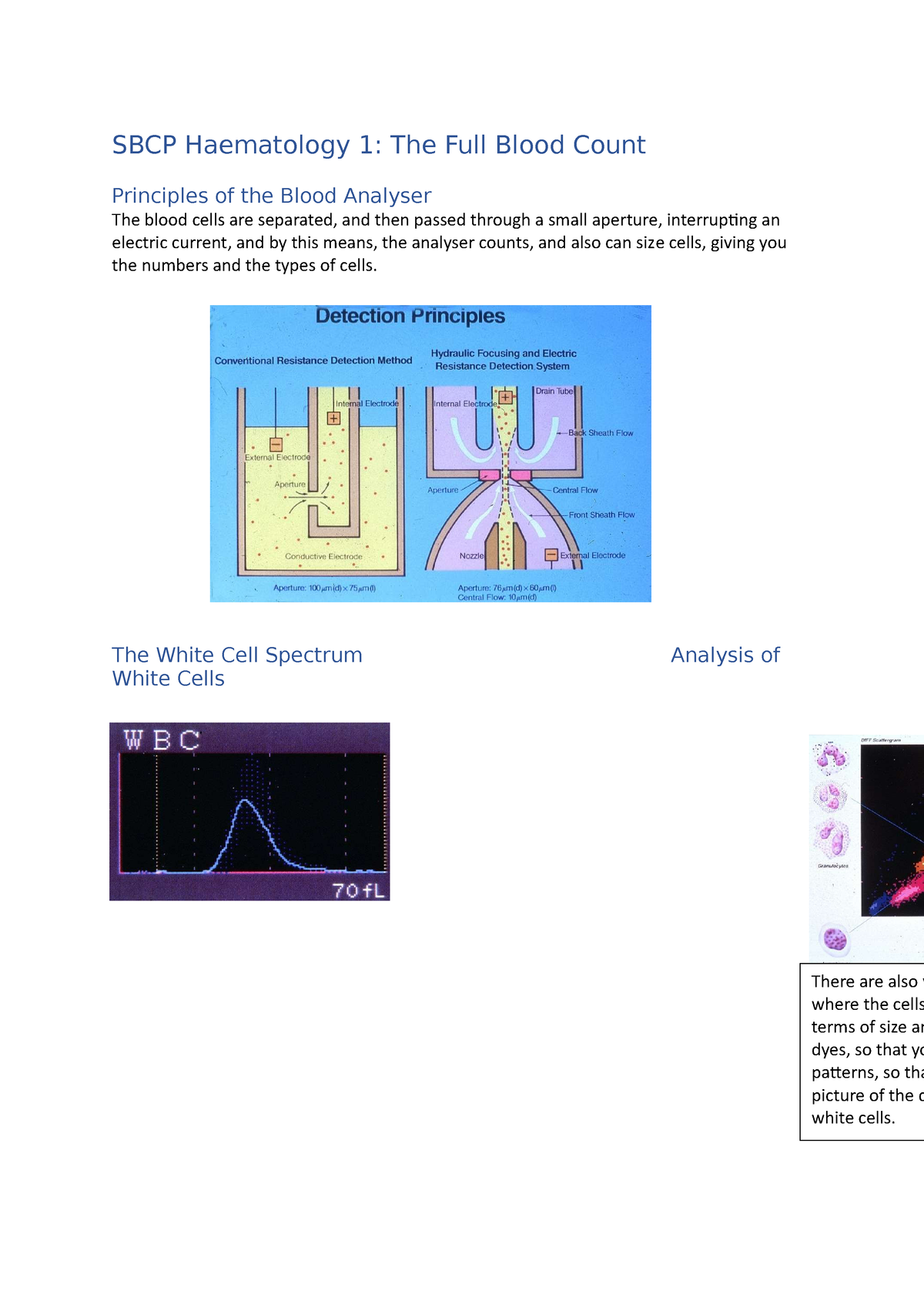 sbcp-haematology-revision-notes-sbcp-haematology-1-the-full-blood