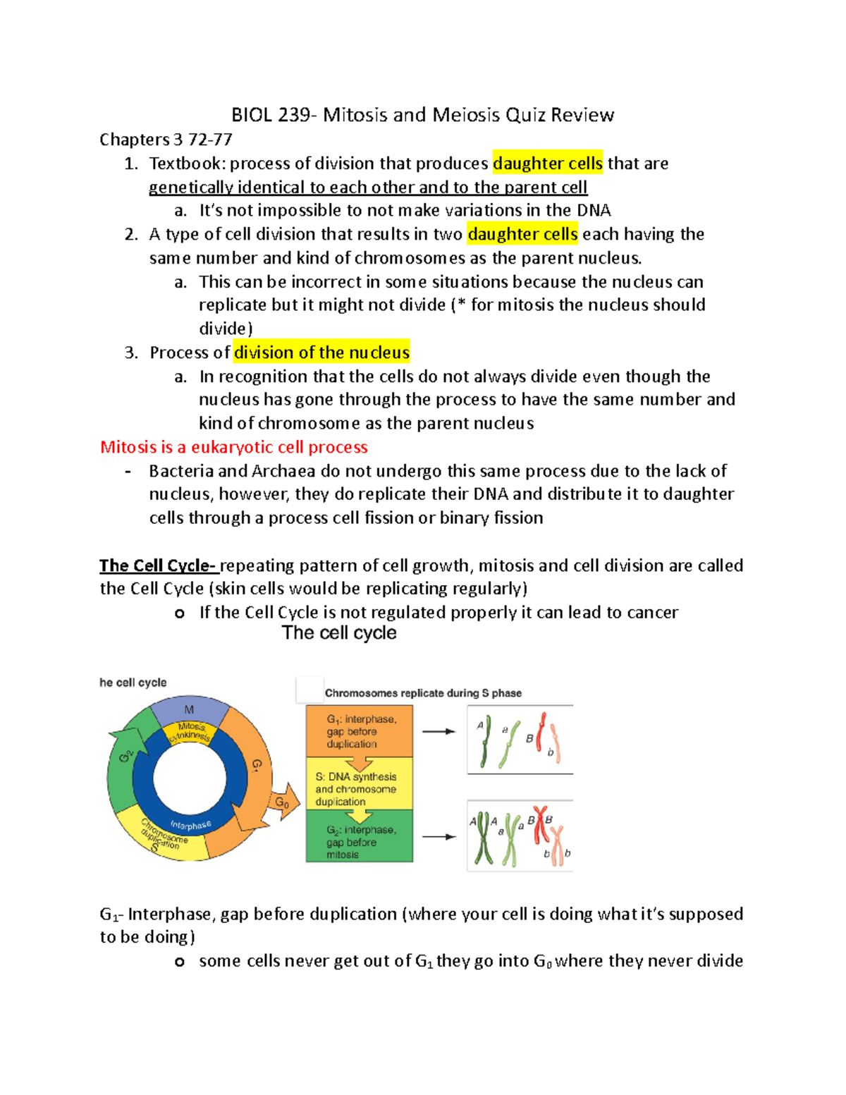 BIOL 239 Meiosis + Mitosis - BIOL 239- Mitosis And Meiosis Quiz Review ...