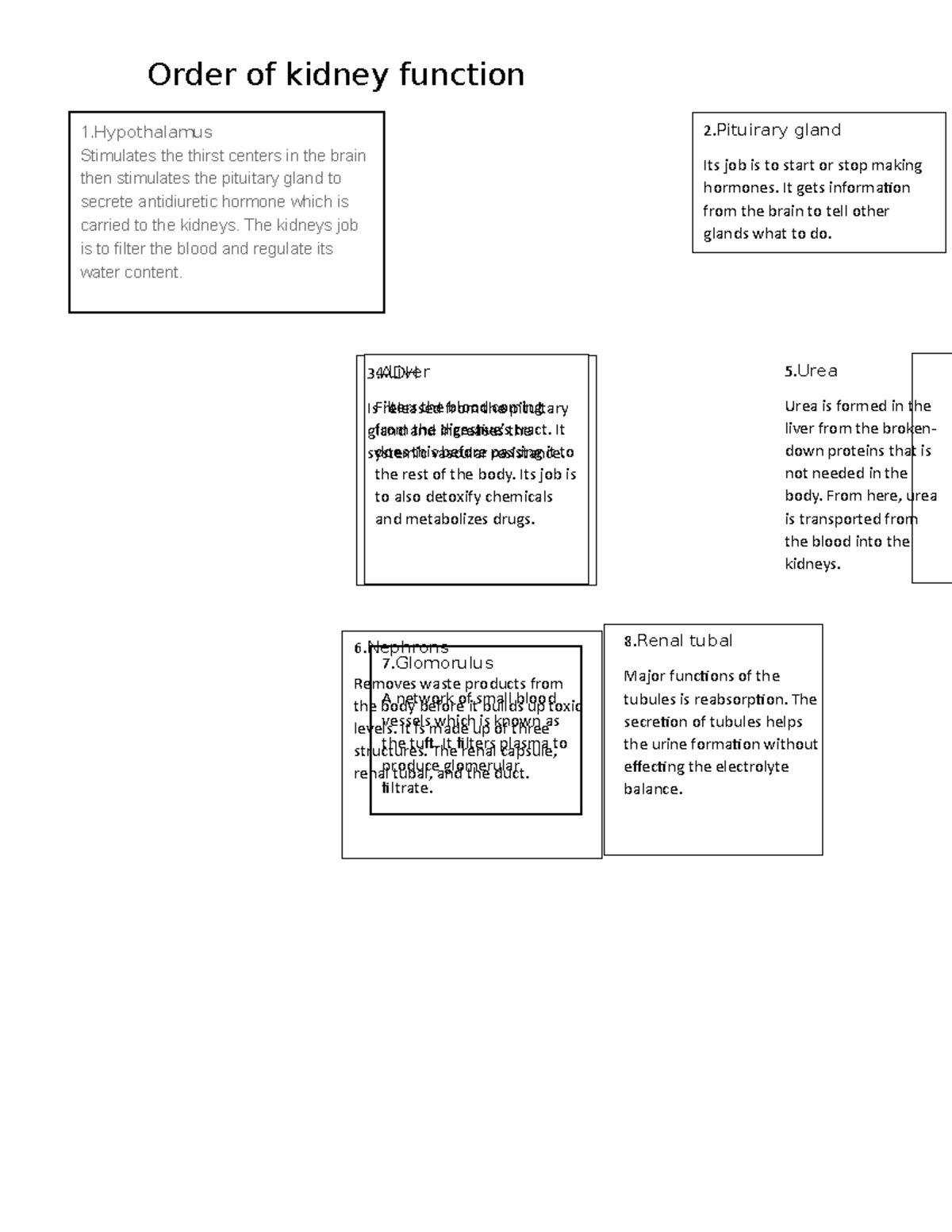 excretory-system-anatomy-and-phylosophy-order-of-kidney-function-8