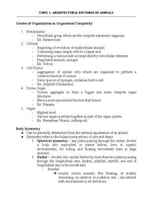 RWS Logical-Fallacy-2024 - Logical Fallacies Intro to Debate and ...