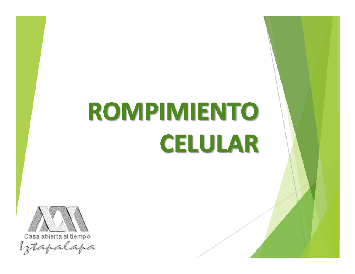 Presentacion Ruptura Celular Pptx Para Qu Romper C Lulas Para