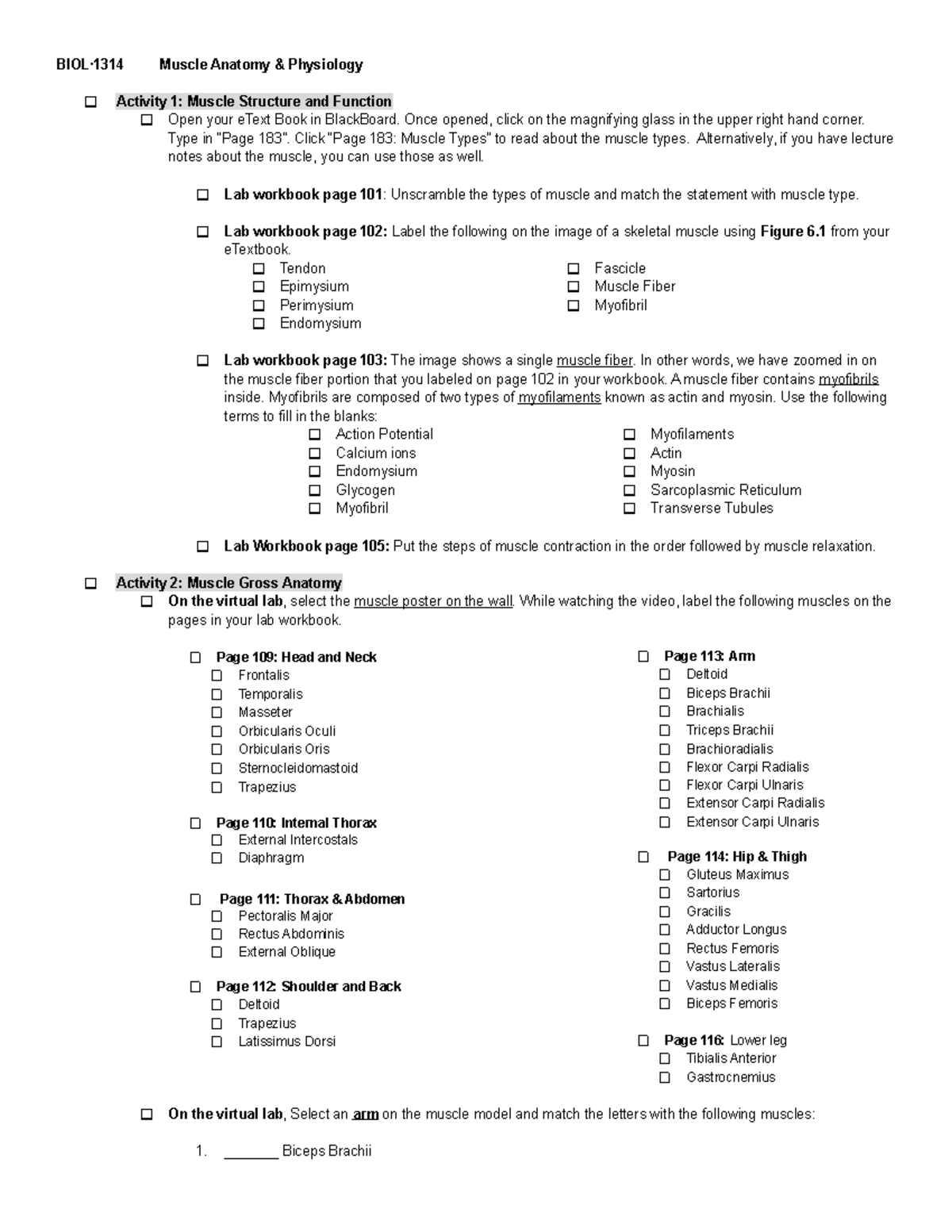V2 Muscle Lab 3 - Lab - BIOL·1314 Muscle Anatomy & Physiology Activity ...