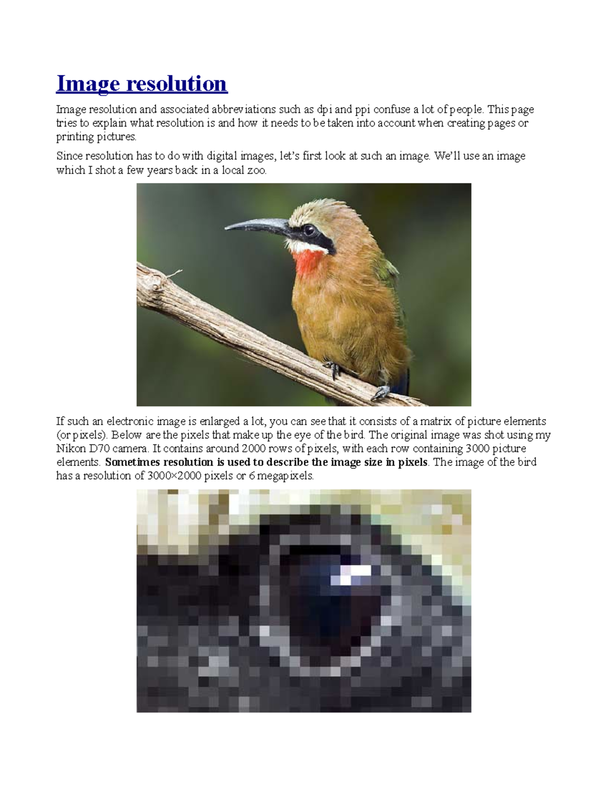 File formats A college runs many classes. - Image resolution Image ...